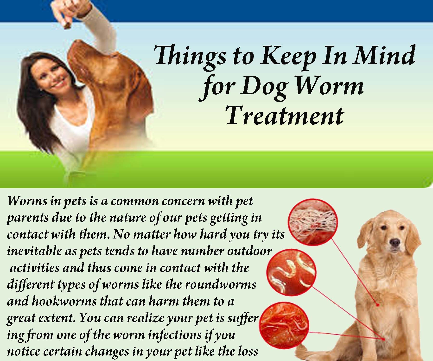 Things to Keep in Mind for Dog Worm Treatment