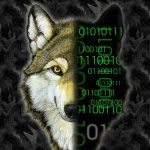 Instructables profile picture for @werewolf