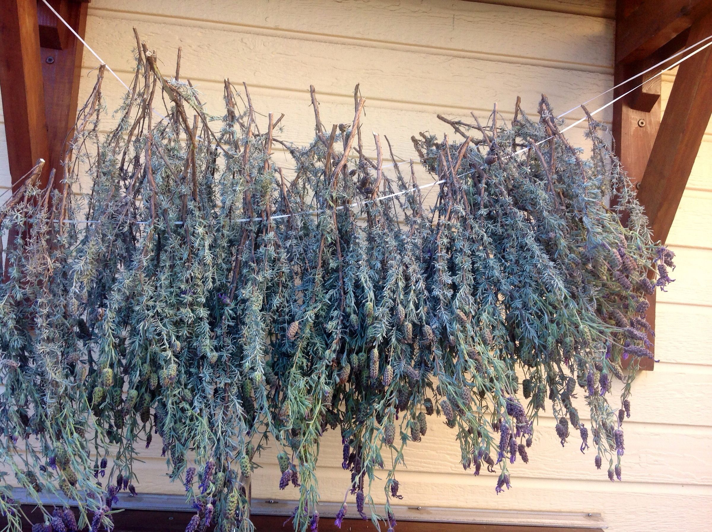 In/Outdoor Lavender Aroma Sent