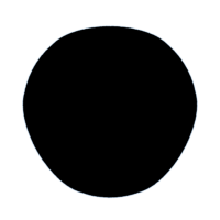 download {{ file.name }}