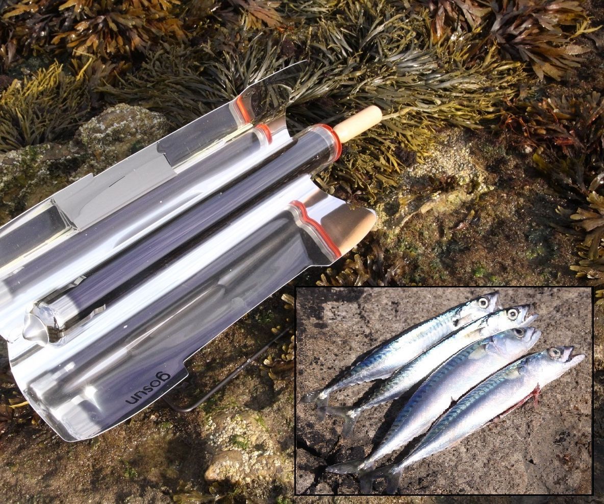 Solar Cooked Wild Mackerel on the Rocks