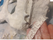 Step Seven: Teeth