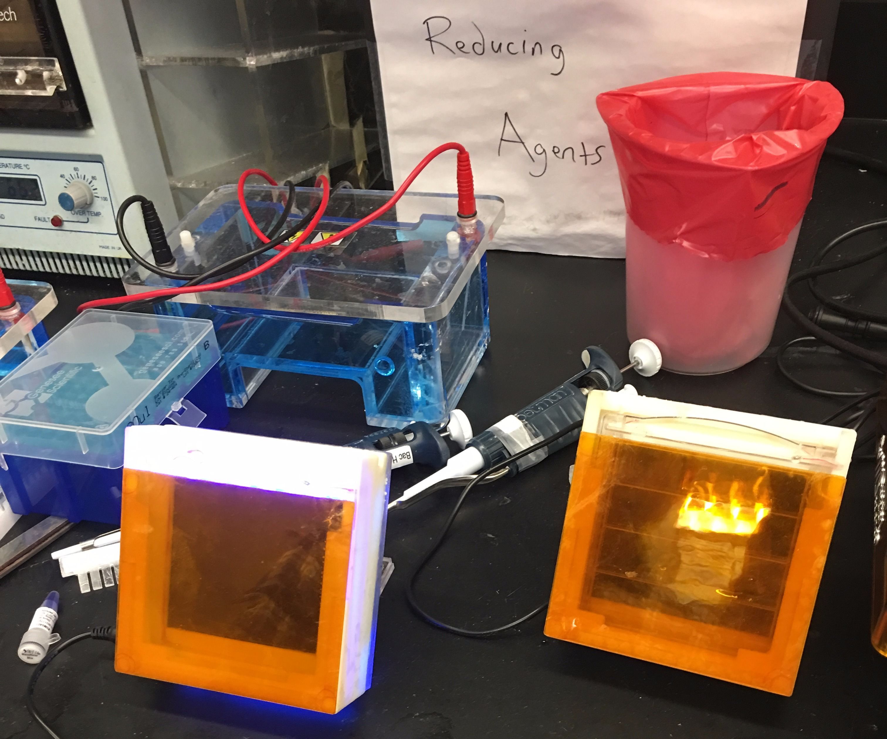 Standing Gel Electrophoresis Chamber