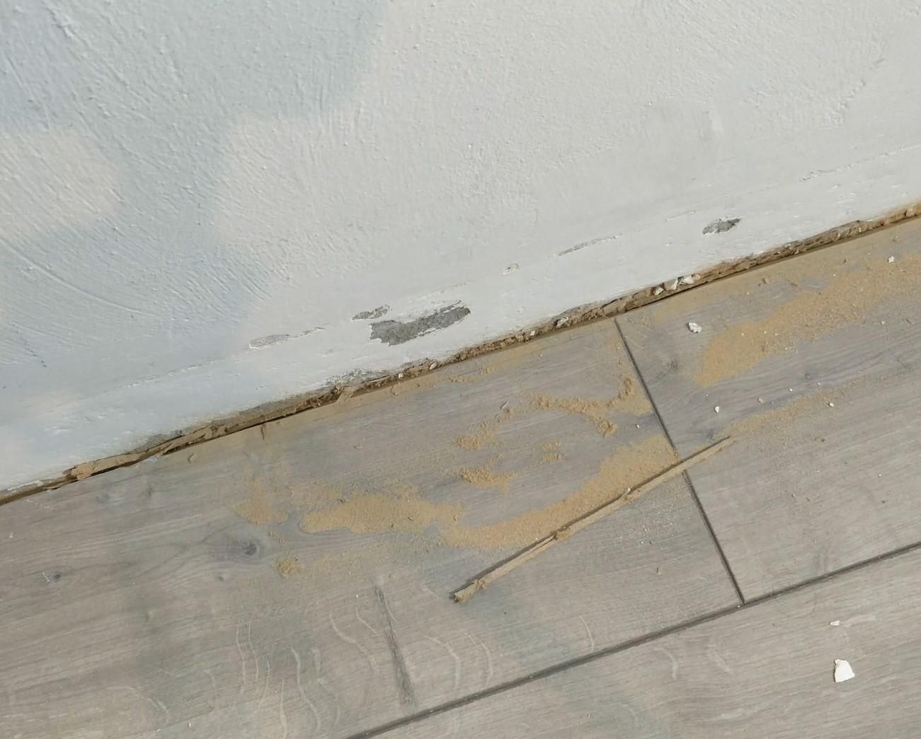 Fix Lifting & Bouncing Laminate Flooring (Expansion Problem) 20 Steps (with Pictures