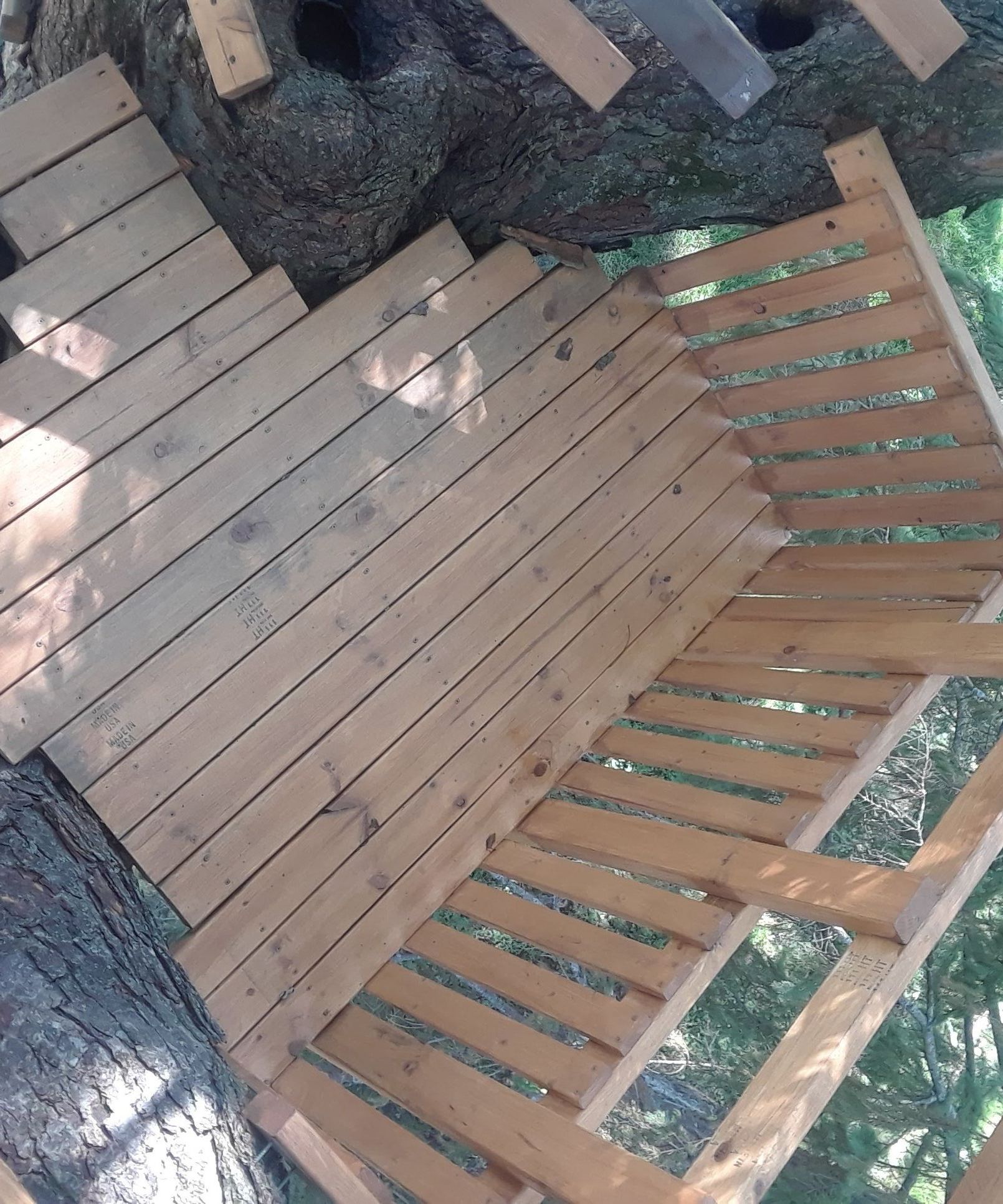 Tree House With Bench and Pulley System