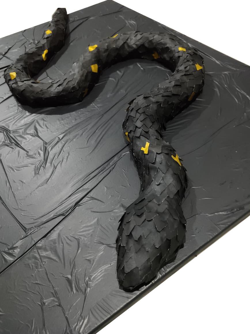 MEXICAN BLACK KING SNAKE