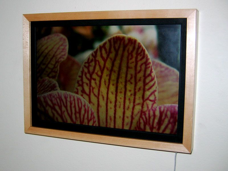 Hanging Laptop Digital Painting