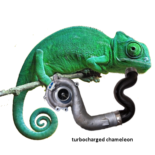 Turbocharged Chameleon