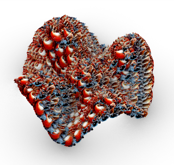 Shell-Inspired 3D Printed Sculpture