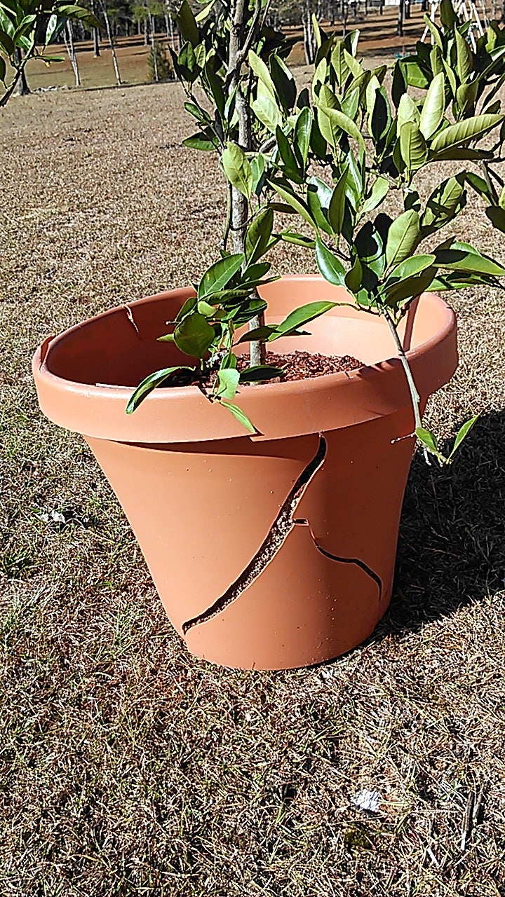 DIY Air Pruning Pot (Large Pot)