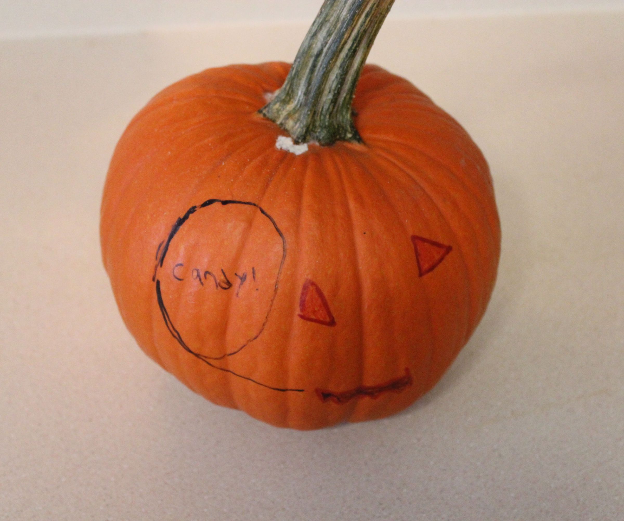 Turn a Pumpkin Into Pumpkin Bread