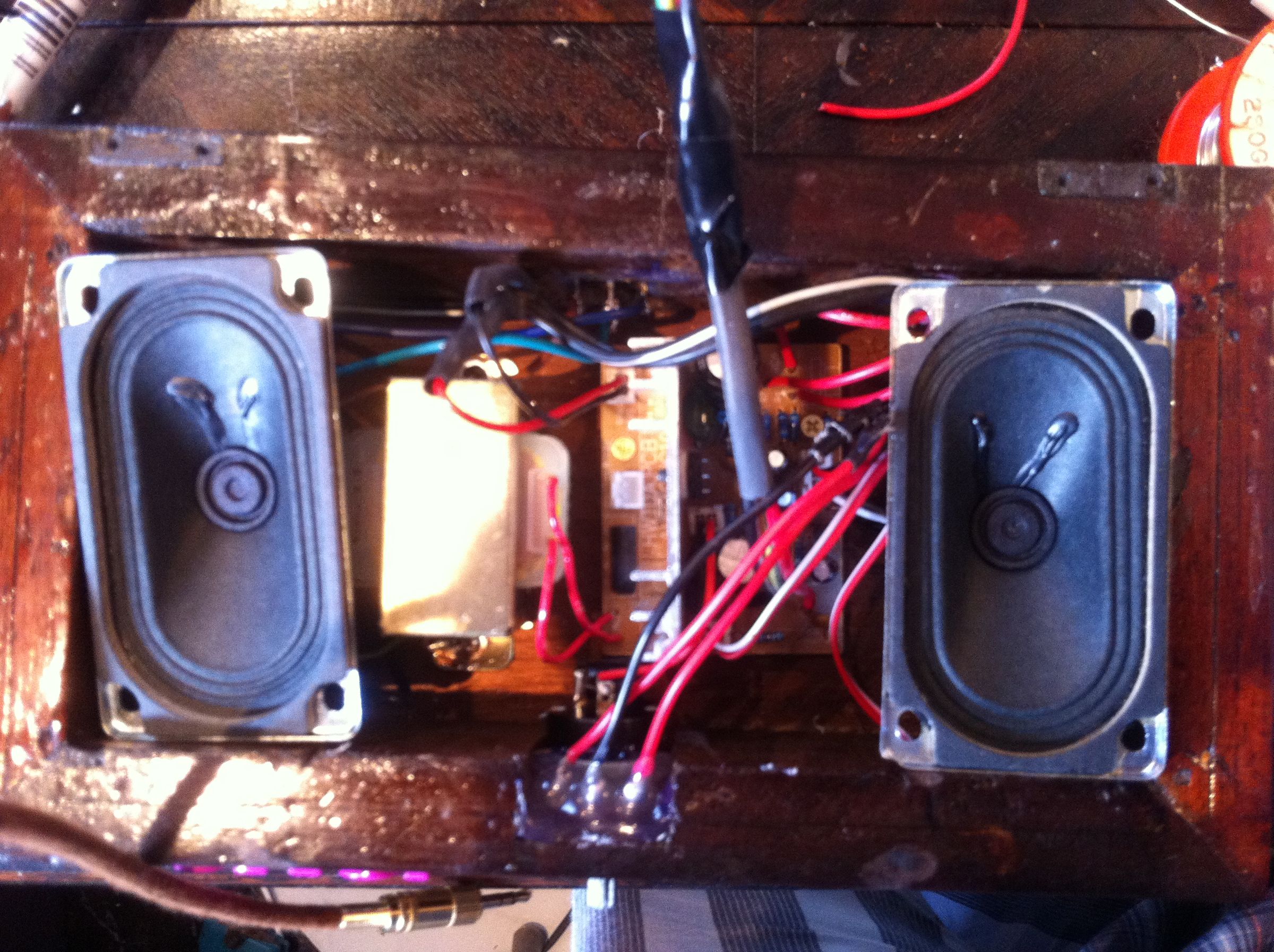 Collection Cover Image: How to Amplify