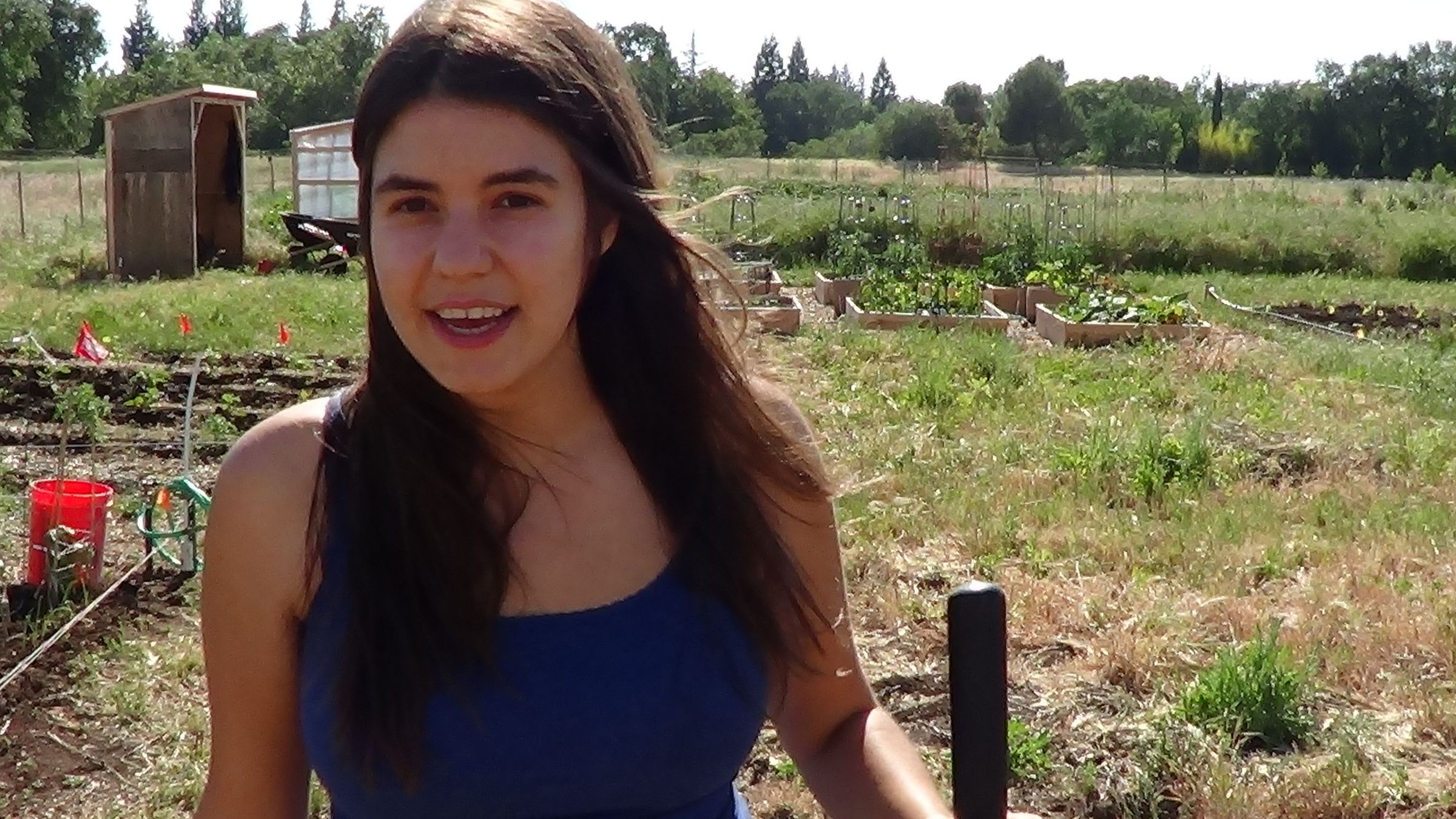 In the Garden: How to Design and Build a Backyard Garden Web Series: Part 1