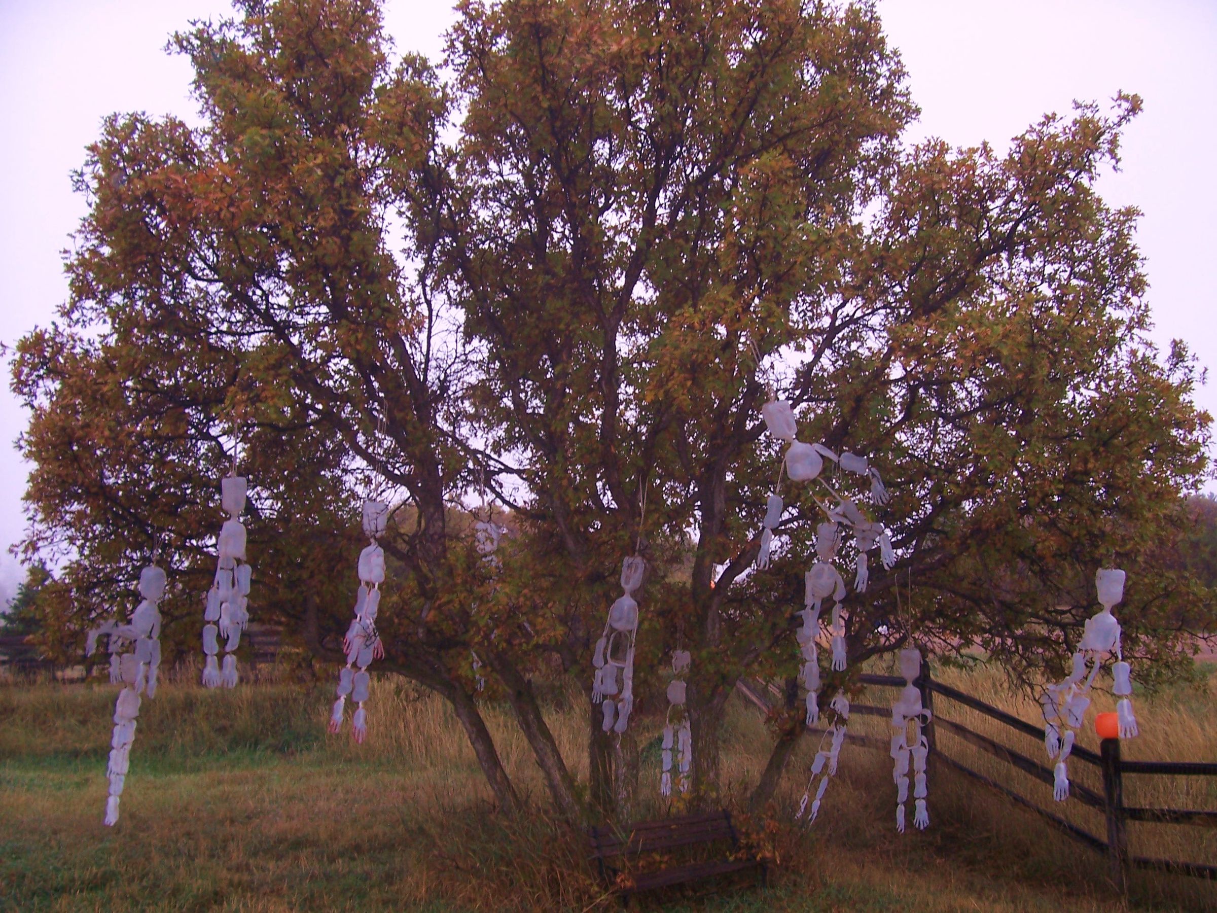 Skeleton Hangin' Tree