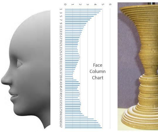 Face Vase: a 3D Learning Activity (Made at TechShop)