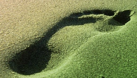 The Word Recopack Stands for Recycled Ecological Packing Solution.