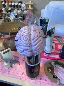 Make the Brain