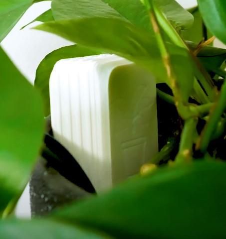 WiFi Soil Moisture Sensors for Plants and Gardens - Home Assistant Enabled  With ESPHome! : 7 Steps (with Pictures) - Instructables