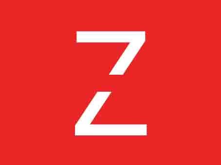 Team Z