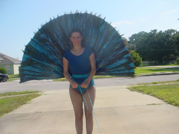 Peacock