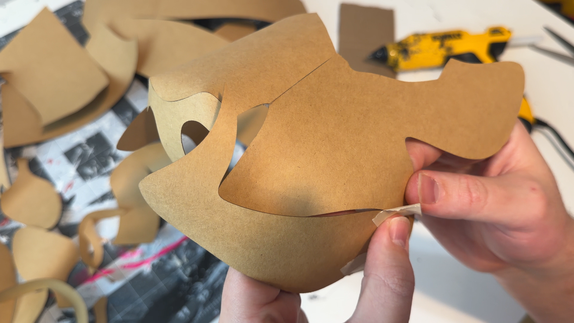 Mask Assembly