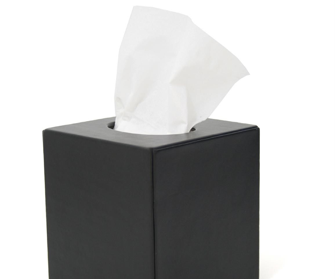 Fun Tissue Box Card Carrier