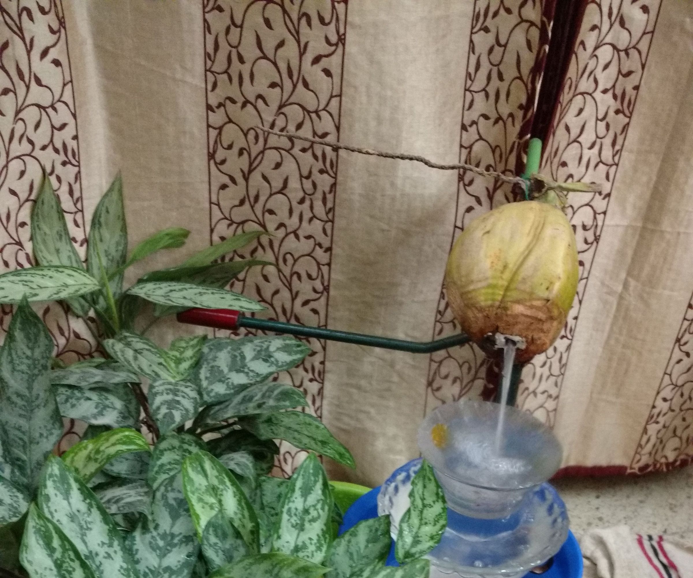 Tender Coconut Cascade Fountain