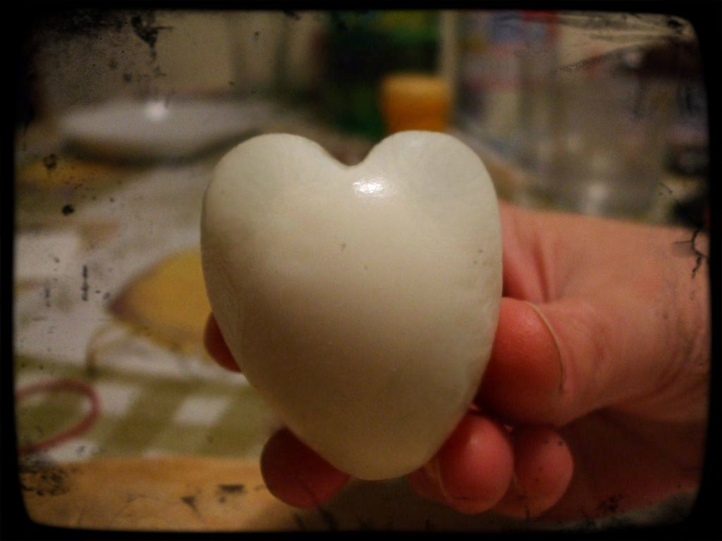 The Secret of the Heart Shaped Egg