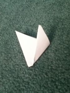 Fold