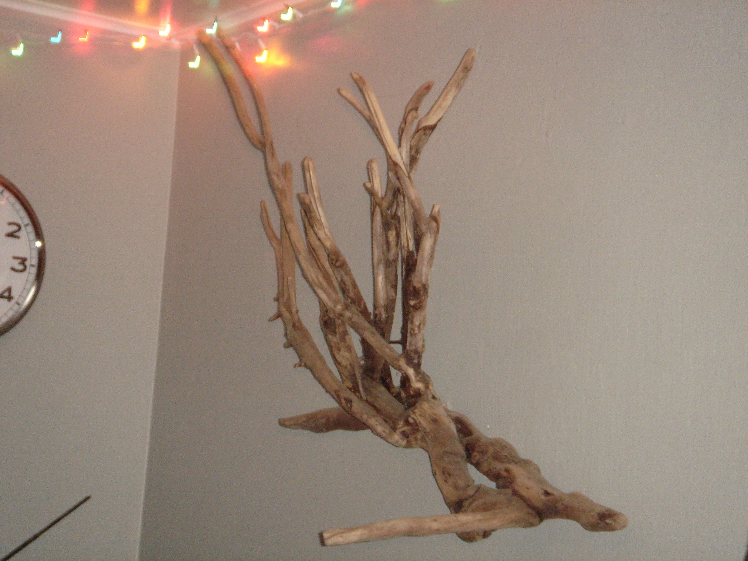 Driftwood Into Art