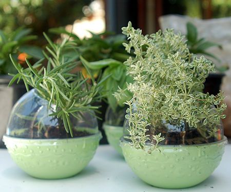 Recycled Plastic Herb Pots