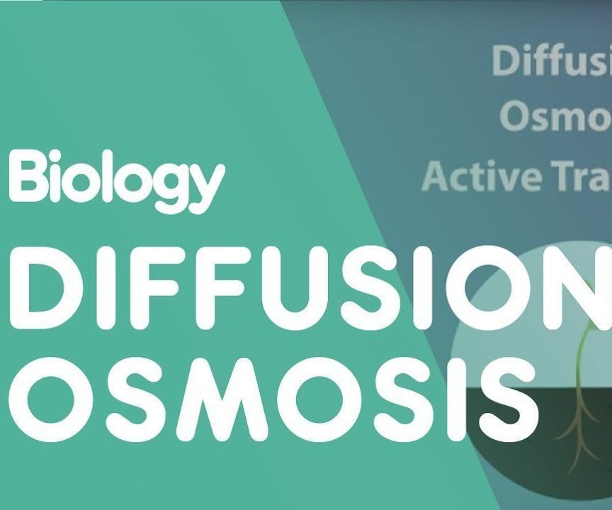 Osmosis of Potato in Glucose Solutions