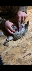 Cut Both Breasts Out.