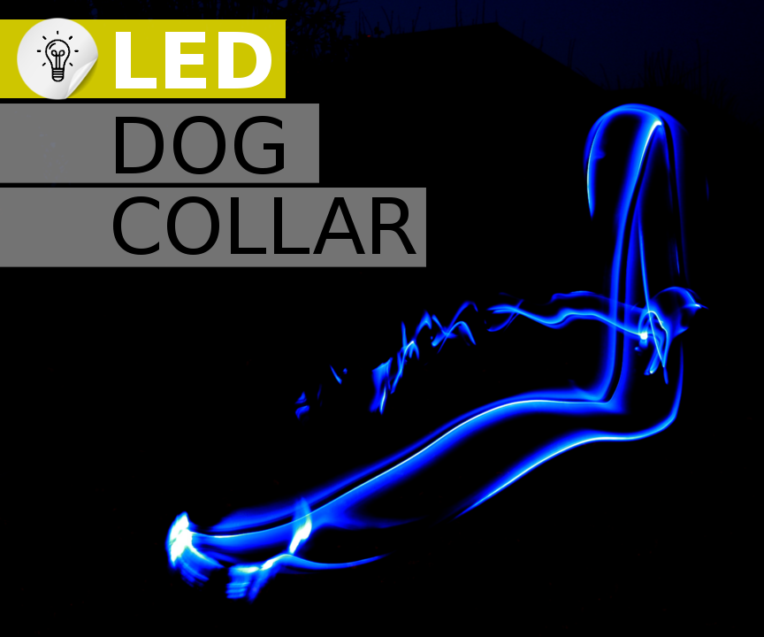 LED Dog Collar