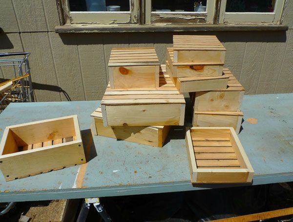 Plant Starting Flats