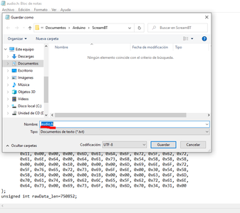 Prepare Raw Audio Data