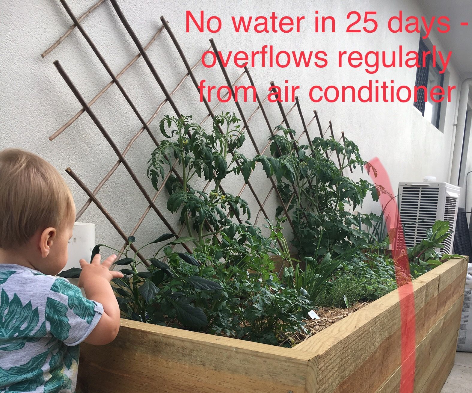 Zero Water Biowicking Bed