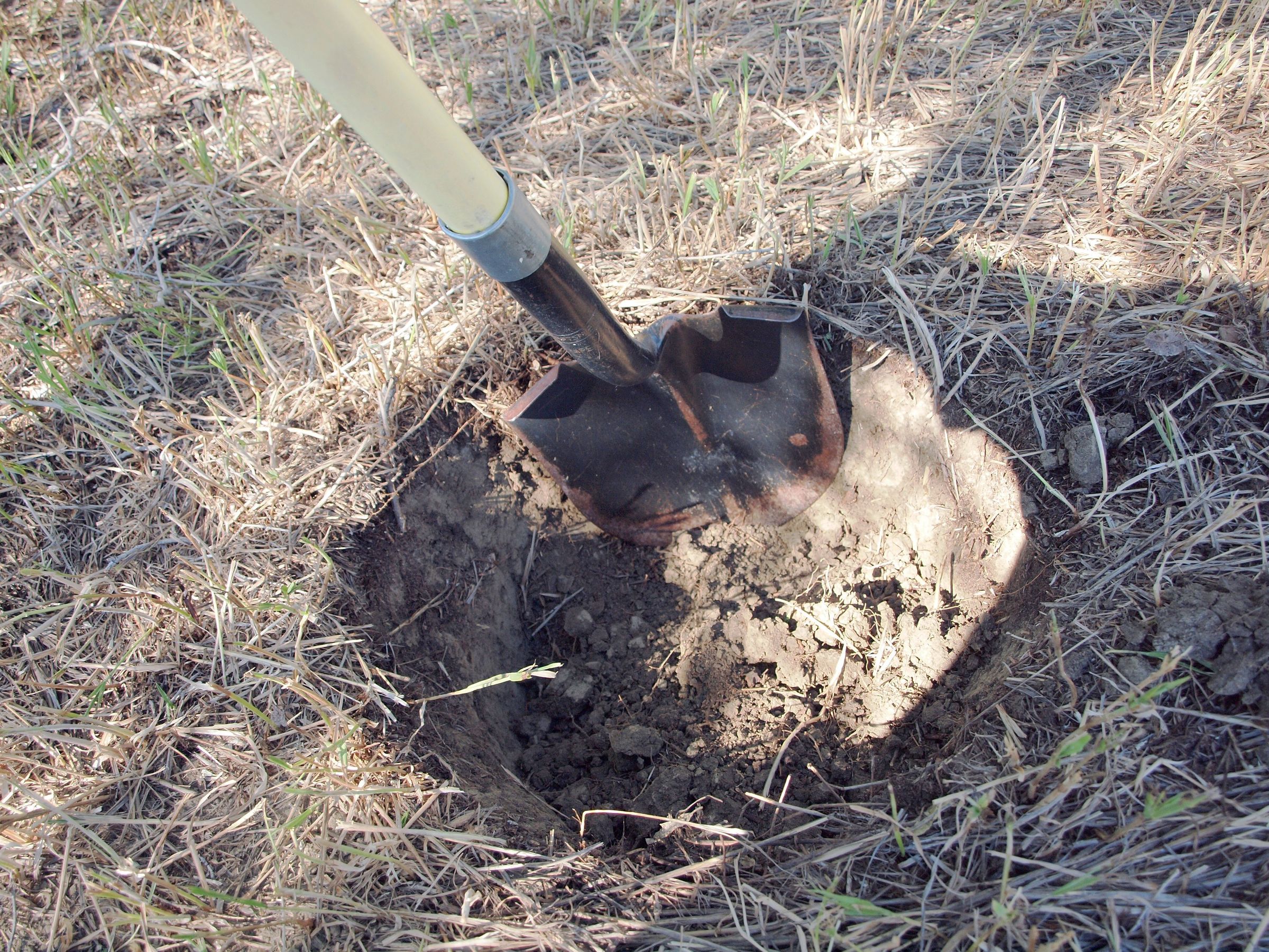 How Deep Should I Bury A Dog