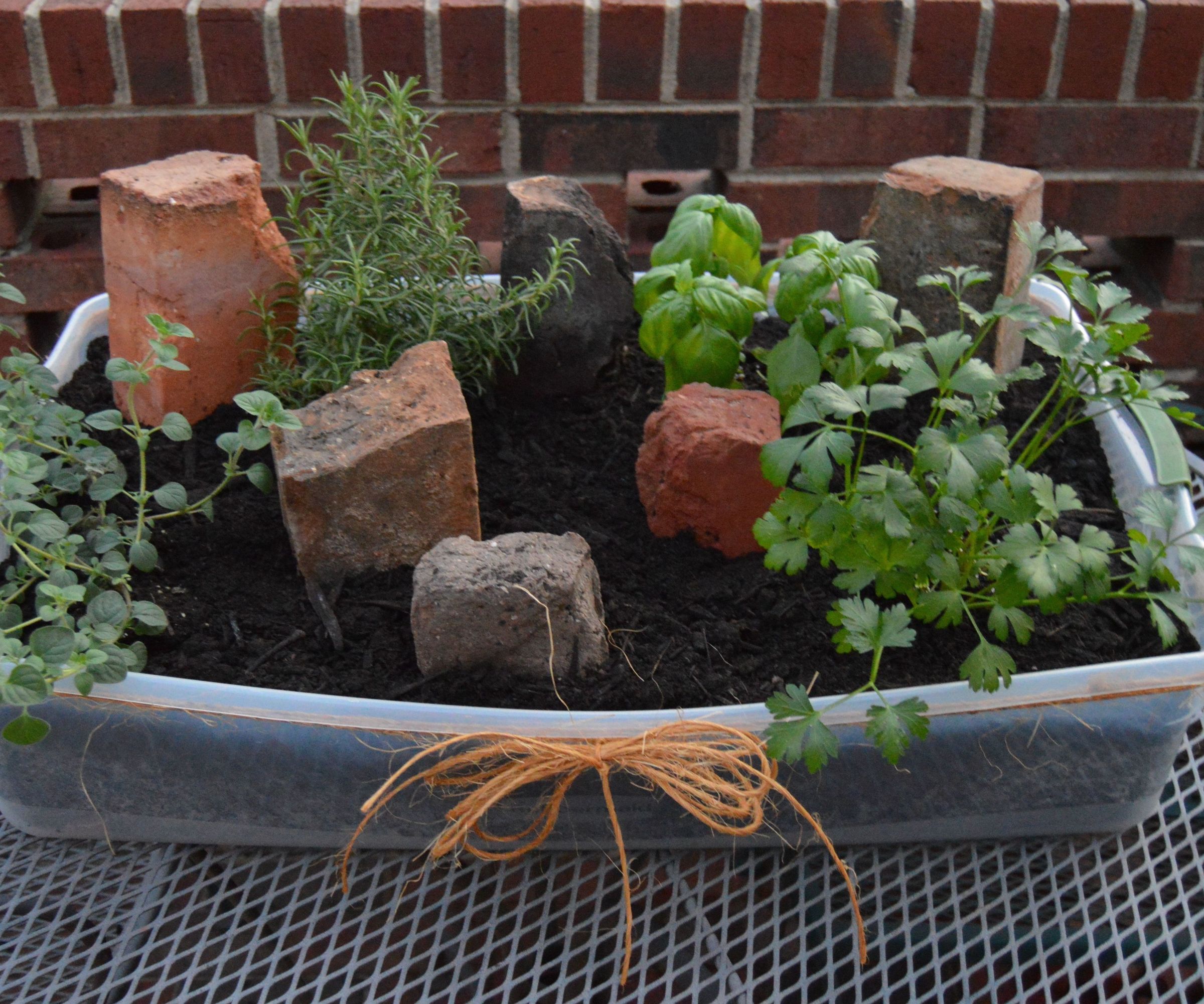 Indoor/Outdoor Herb Garden