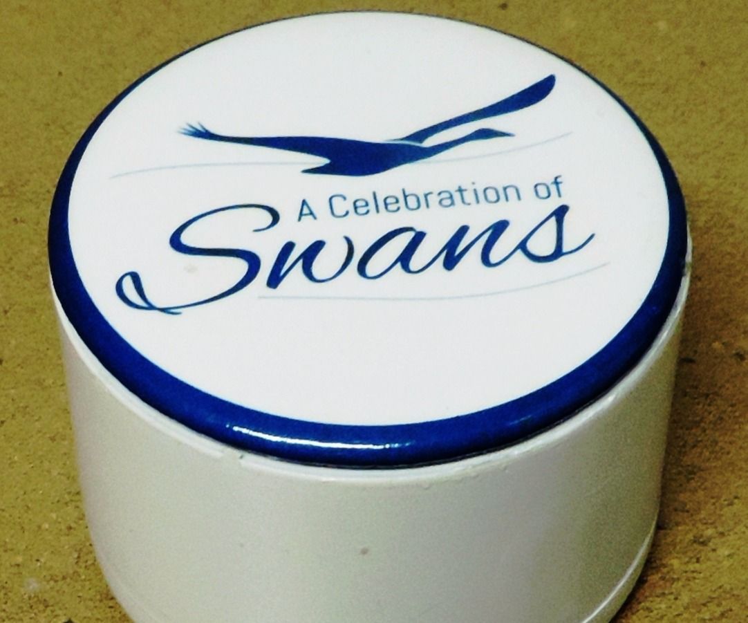 Make a Container From Plumbing Parts and a Badge