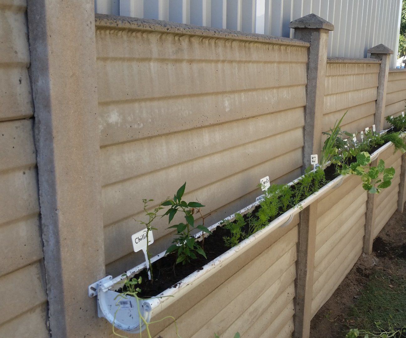 Small Space Living Herb/veg Garden