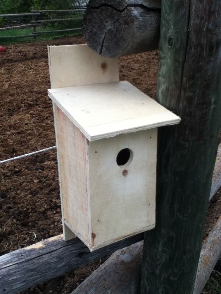 Wren Birdhouse
