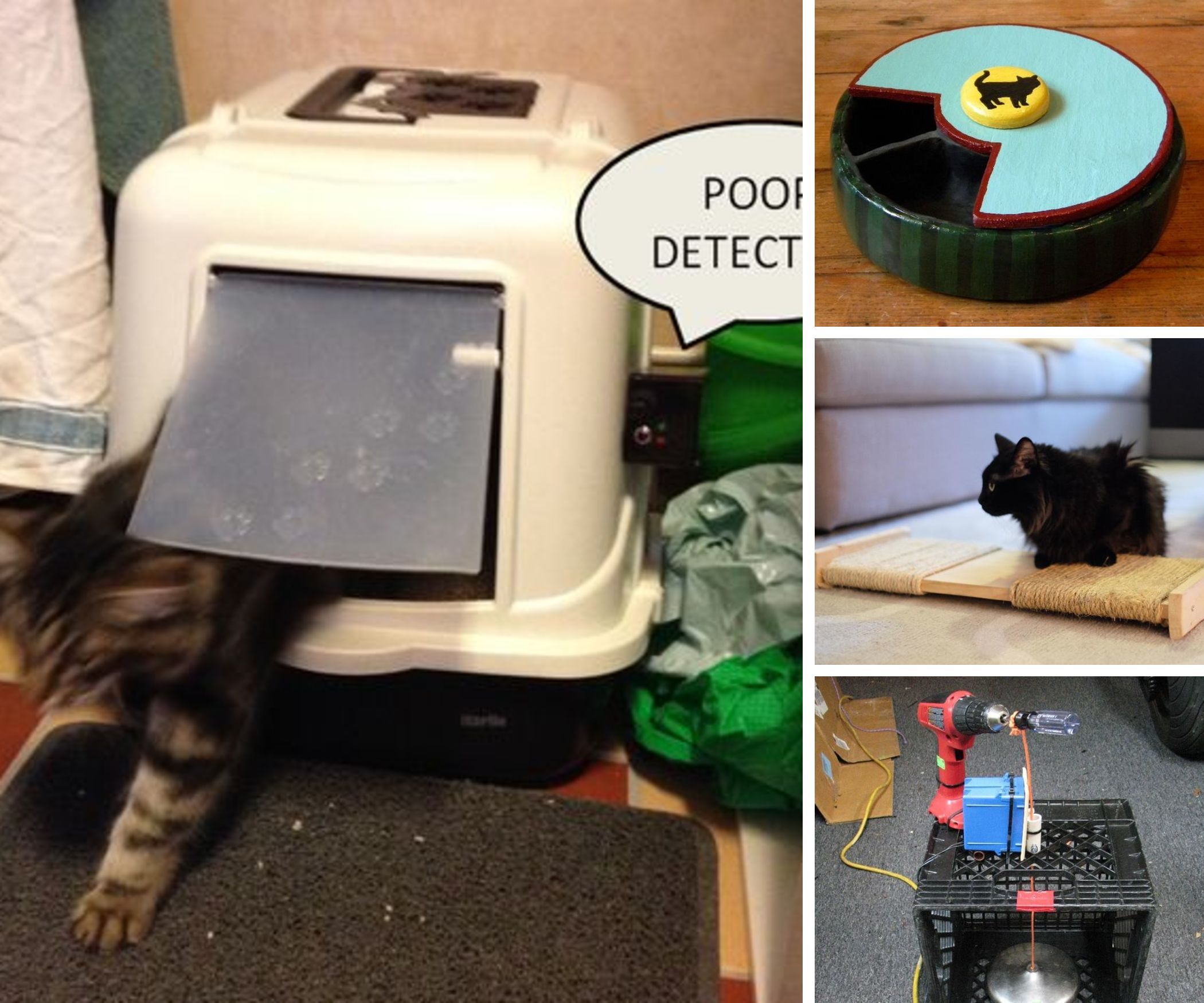 Practical Cats
