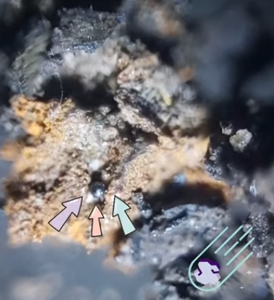 Observa Las Partículas