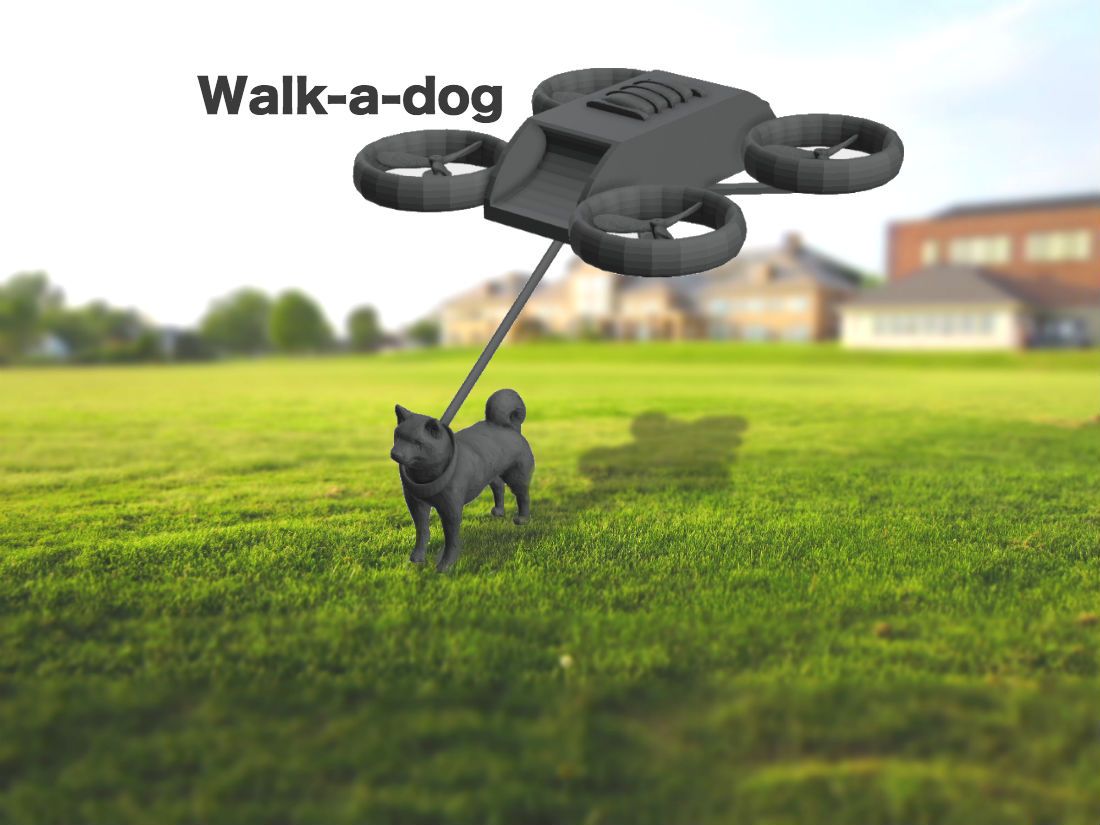 Walk-a-Dog