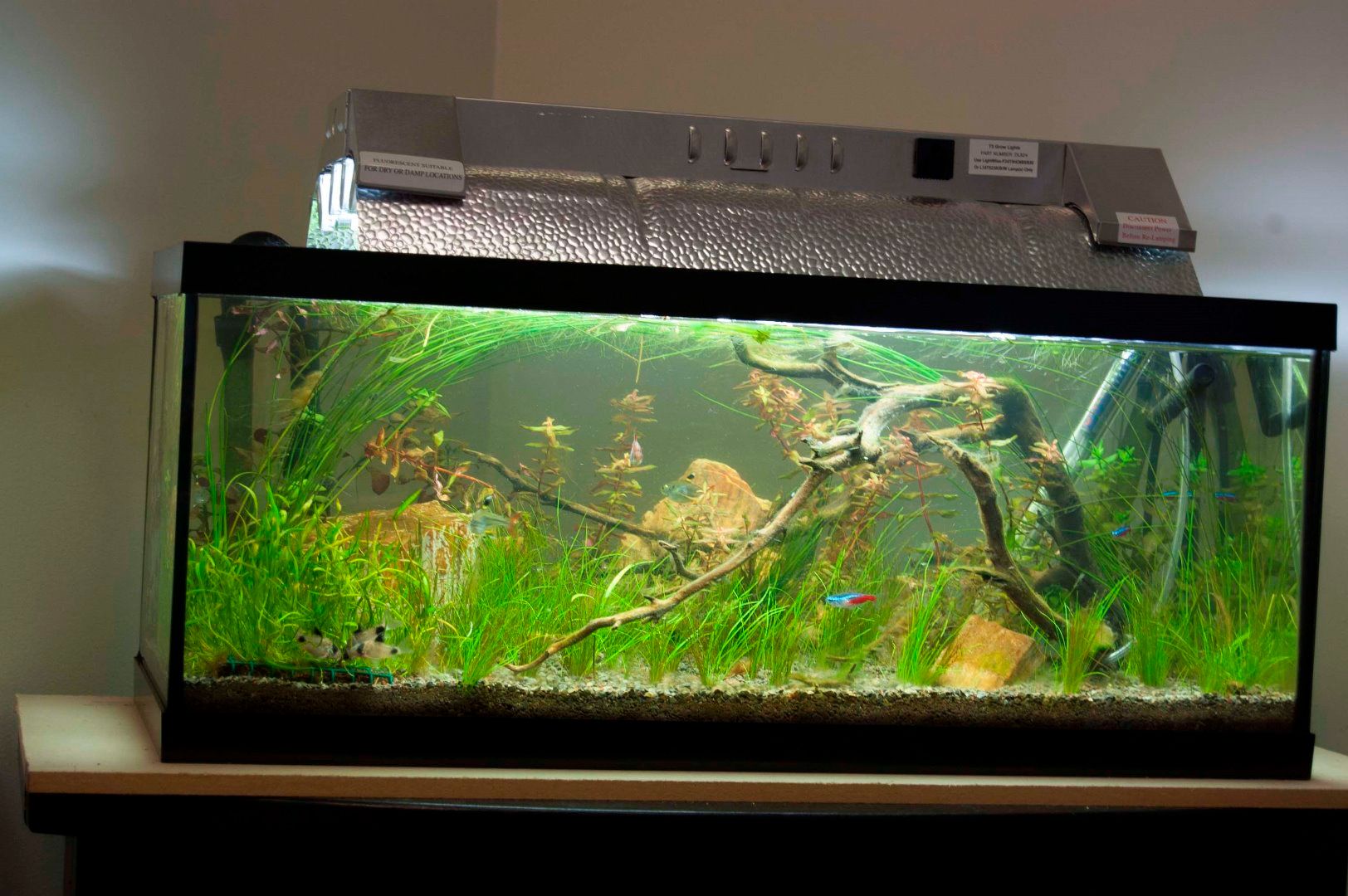 No Silicone DIY Yeast CO2 Reactor and Diffuser for Planted Aquariums 5 Steps (with Pictures