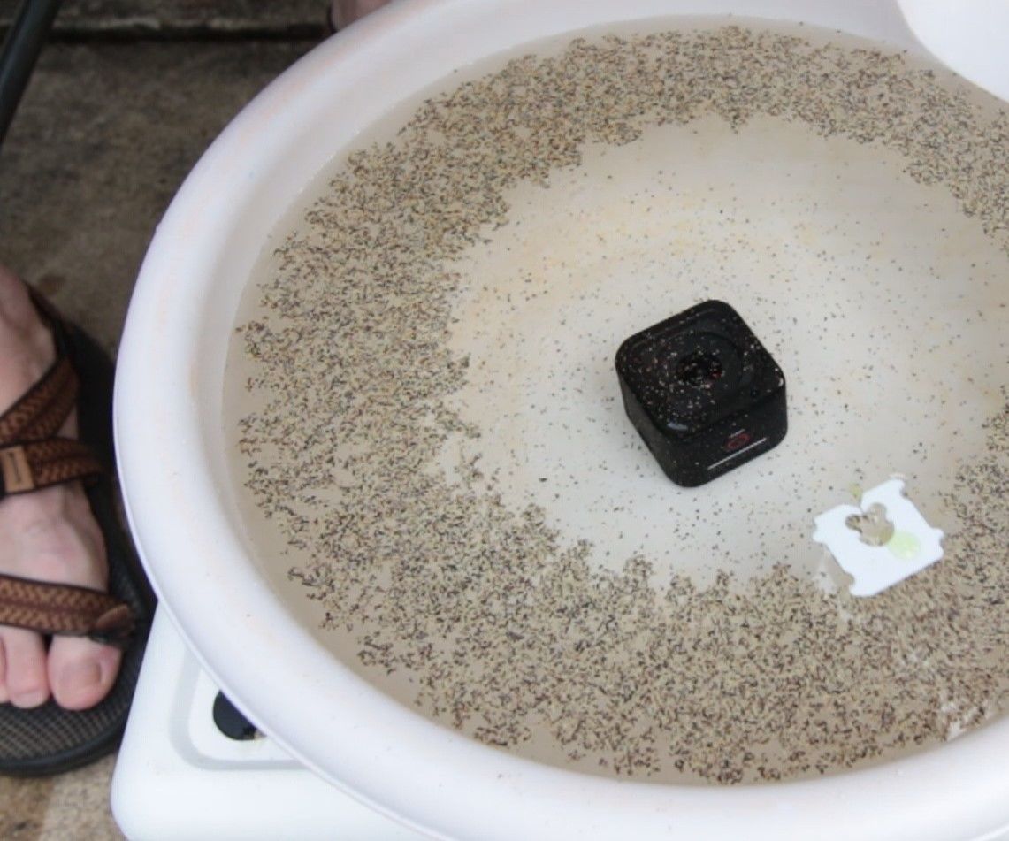 Surface Tension Science Experiments With Common Houshold Items