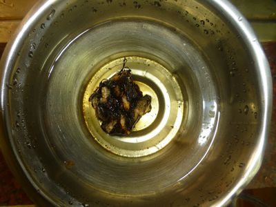 Make Tamarind Paste