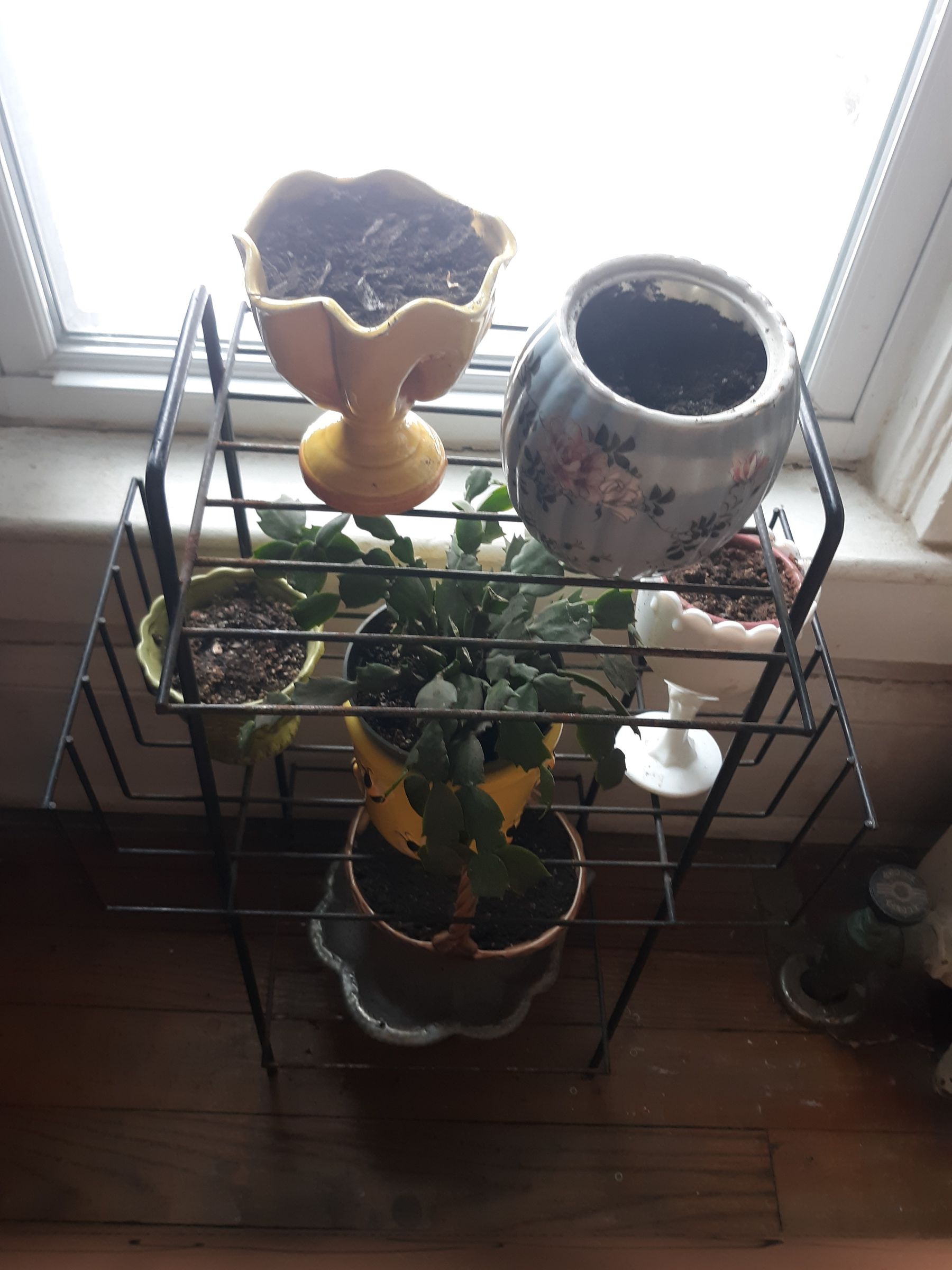 Image 10