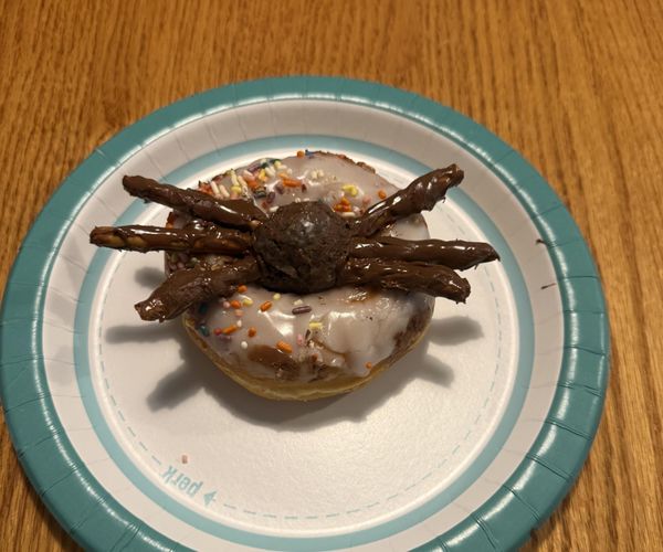 Spider Donut